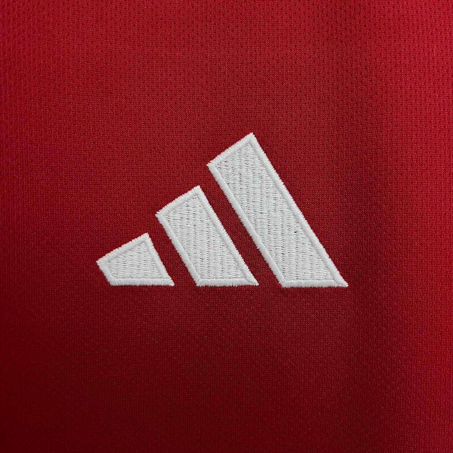 Camisa Manchester United 2025